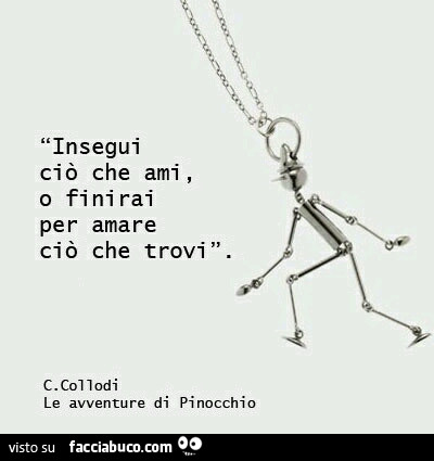 Insegui ciò che ami, o finirai per amare ciò che trovi