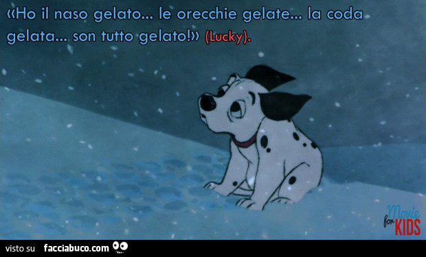 Ho il naso gelato… le orecchie gelate… la coda gelata… son tutto gelato