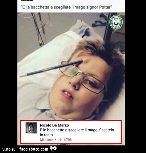 È la bacchetta a scegliere il mago, ficcatelo in testa