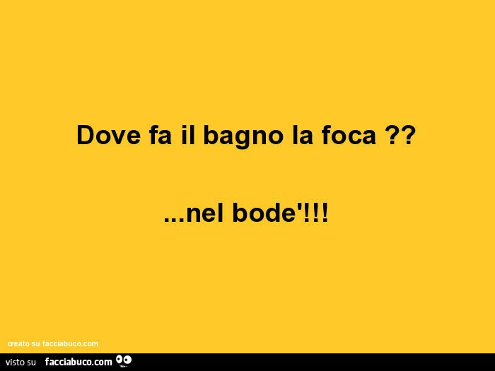 Dove fa il bagno la foca? &hellip; Nel bodè