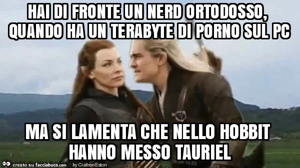 Hai di fronte un nerd ortodosso, quando ha un terabyte di porno sul pc ma si lamenta che nello hobbit hanno messo tauriel
