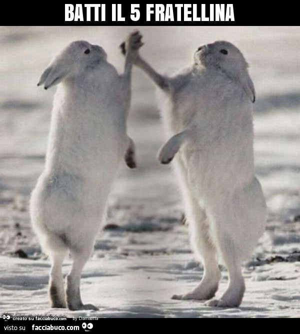 Batti il 5 fratellina