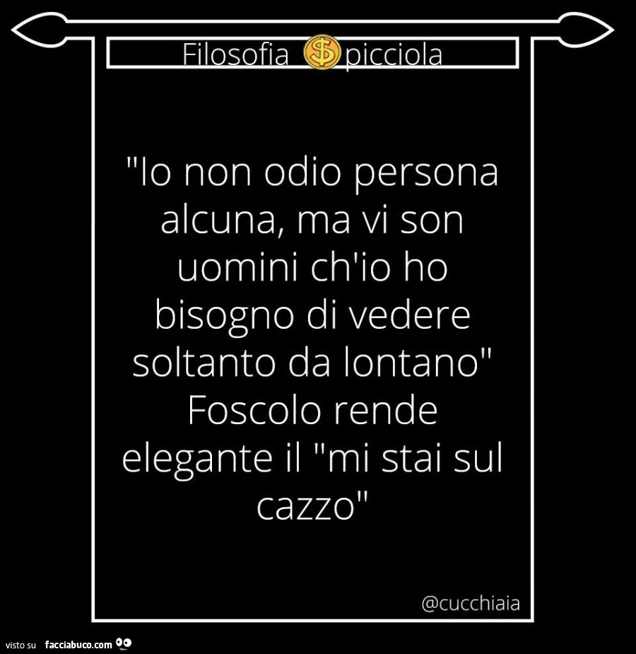 Io non odio persona alcuna, ma vi son uomini ch'io ho bisogno di vedere soltanto da lontano. Foscolo rende elegante il mi stai sul cazzo