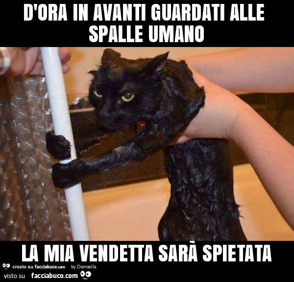 D'ora in avanti guardati alle spalle umano la mia vendetta sarà spietata