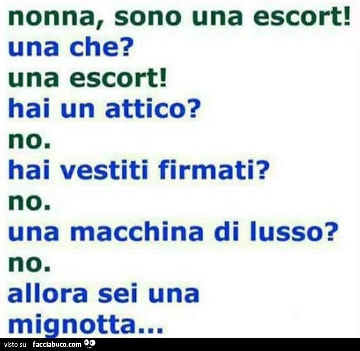 Nonna, sono una escort! Una che? Una escort! Hai un attico? No. Hai vestiti firmati? No. Una macchina di lusso? No. Allora sei una mignotta