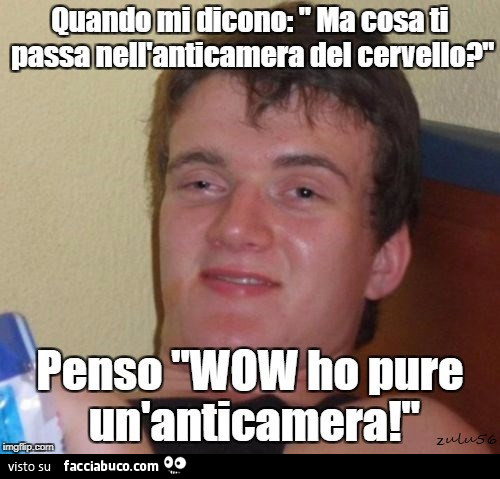 Quando mi dicono: ma cosa ti passa nell'anticamera del cervello? Penso wow ho pure un'anticamera