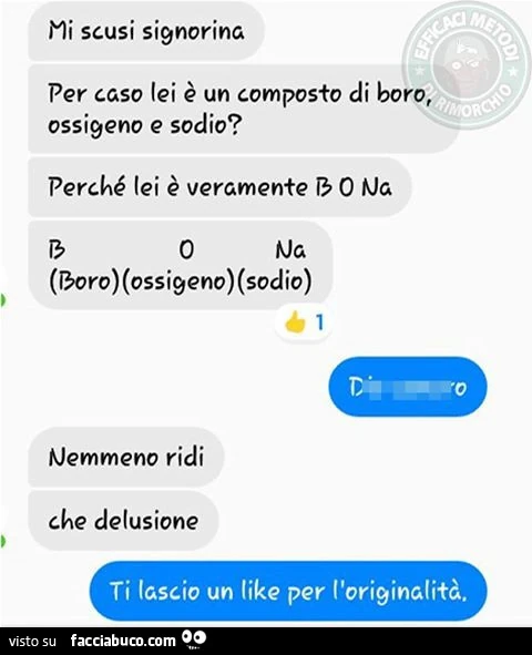 Mi scusi signorina per caso lei è un composto di boro, ossigeno e sodio? Perchè lei è veramente BONA