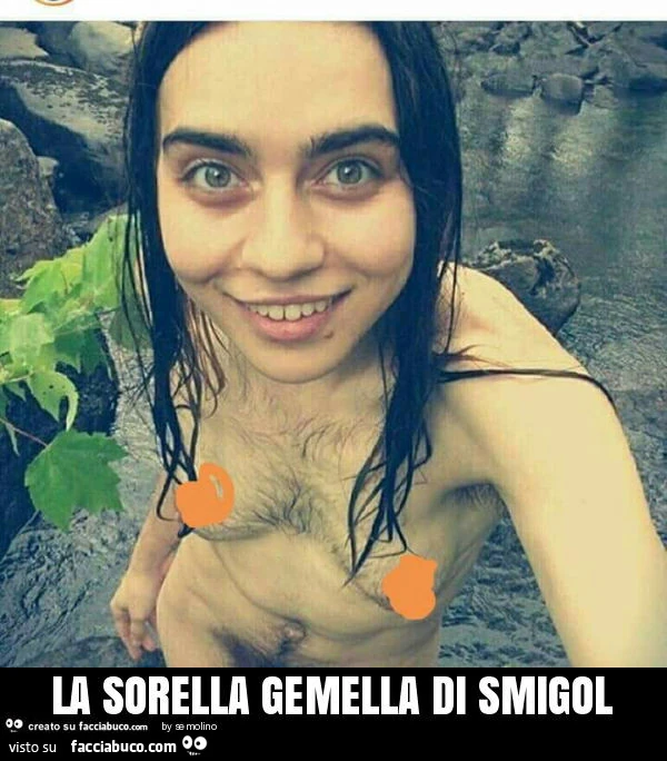 La sorella gemella di smigol