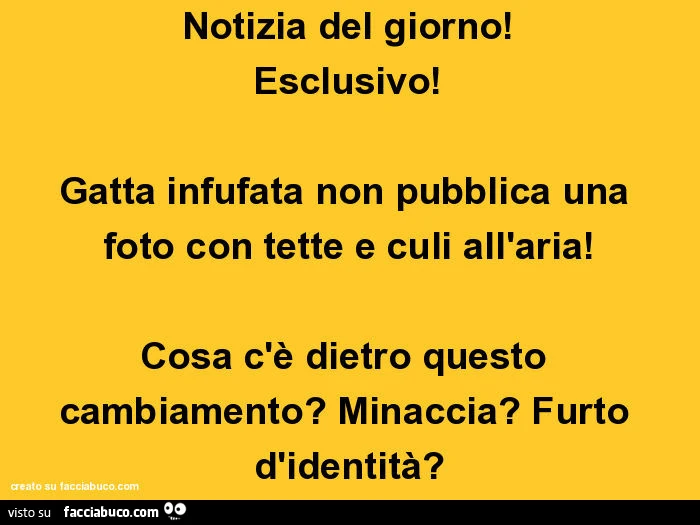 Notizia del giorno! Esclusivo! Gatta infufata non pubblica una foto con tette e culi all'aria! Cosa c'è dietro questo cambiamento? Minaccia? Furto d'identità?