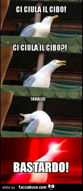 Ci ciula il cibo! Ci ciula il cibo?! Inhales! Bastardo