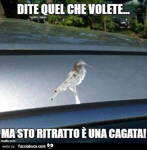 Dite quel che volete. Ma sto ritratto è una cagata