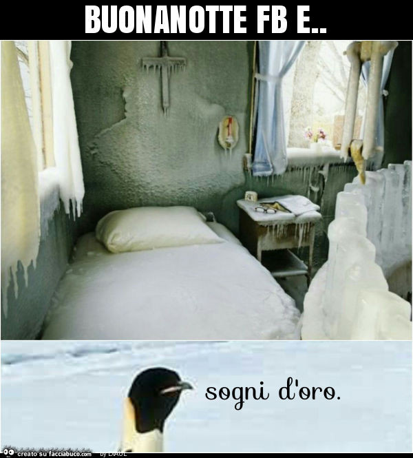 Buonanotte fb e