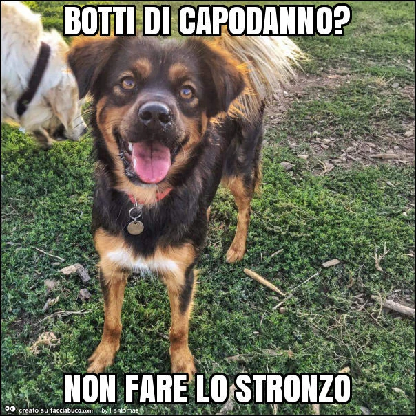Botti di capodanno? Non fare lo stronzo