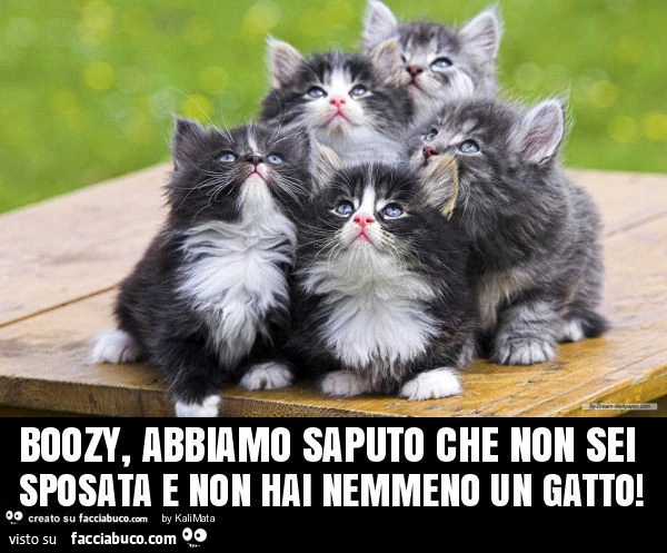 Boozy, abbiamo saputo che non sei sposata e non hai nemmeno un gatto
