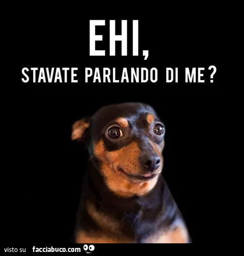 Ehi, stavate parlando di me?