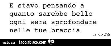 E stavo pensando a quanto sarebbe bello ogni sera sprofondare nelle tue braccia