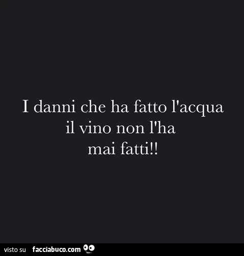 I danni che ha fatto l'acqua il vino non l'ha mai fatti