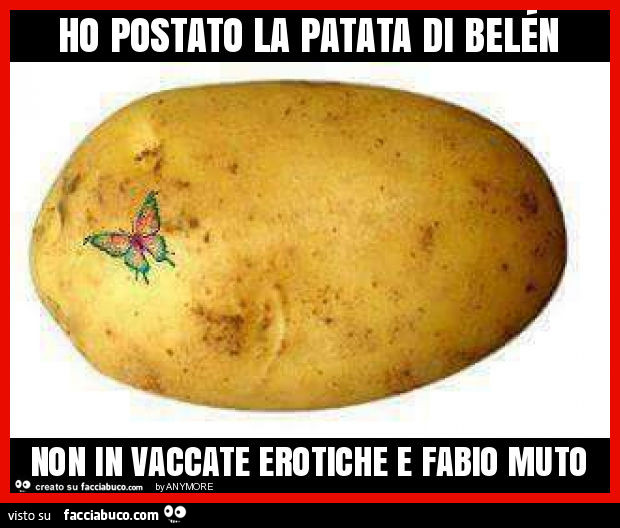 Ho postato la patata di belén non in vaccate erotiche e fabio muto