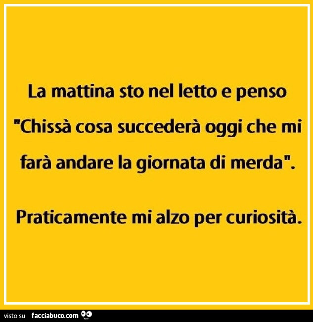 La mattina sto nel letto e penso chissà cosa succederà oggi che mi farà andare la giornata di merda. Praticamente mi alzo per curiosità