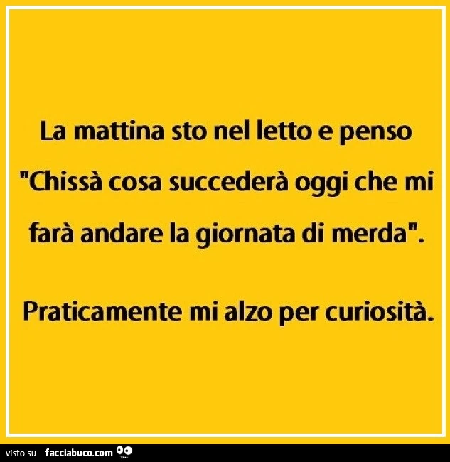 La mattina sto nel letto e penso chissà cosa succederà oggi che mi farà andare la giornata di merdan. Praticamente mi alzo per curiosità
