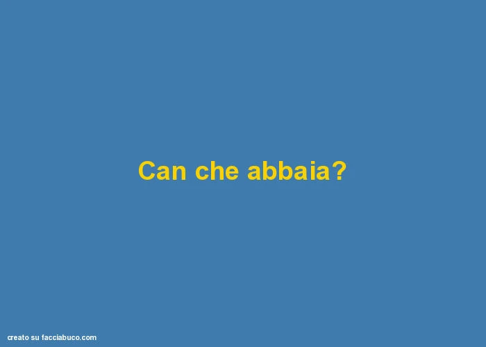 Can che abbaia?