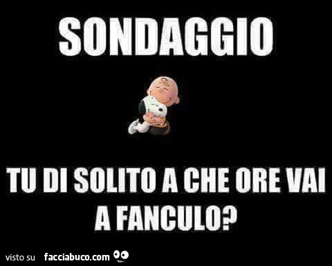Sondaggio: tu di solito a che ore vai a fanculo?