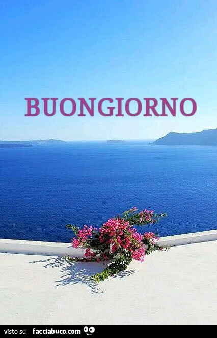Bellissimo mare e fiori in terrazza. Buongiorno
