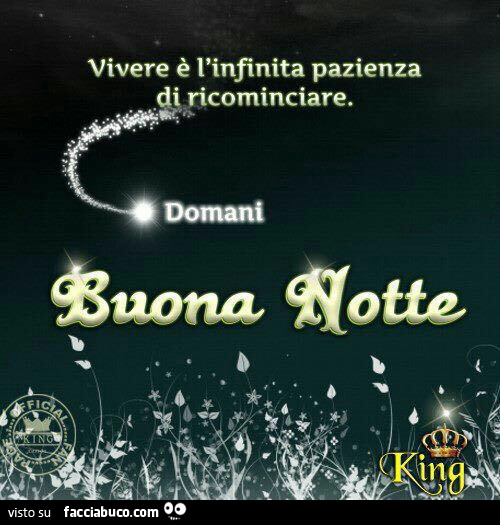 Vivere è l'infinita pazienza di cominciare. Domani. Buona Notte