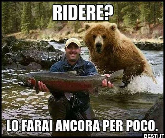 Ridereeee
