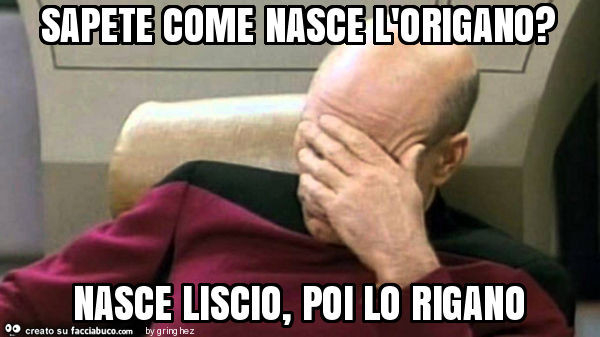 Sapete come nasce l'origano? Nasce liscio, poi lo rigano