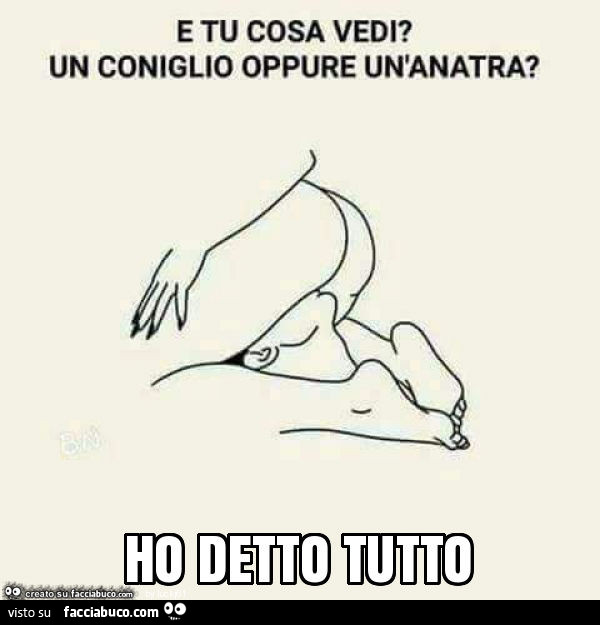 E tu cosa vedi? Un coniglio oppure un'anatra? Ho detto tutto
