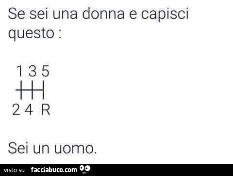 Se sei una donna e capisci questo sei un uomo