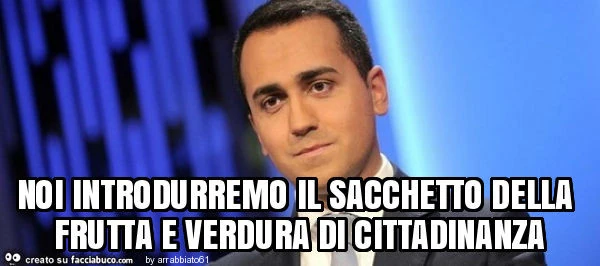 Noi introdurremo il sacchetto della frutta e verdura di cittadinanza
