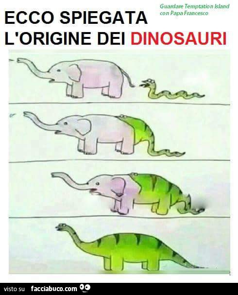 Ecco spiegata l'origine dei dinosauri. Serpente che mangia un elefante