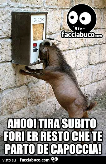 Ahoo! Tira subito fori er resto che te parto de capoccia