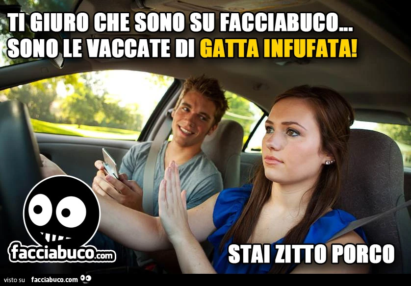 Ti giuro che sono su facciabuco&hellip; sono le vaccate di Gatta Infufata! Stai zitto porco