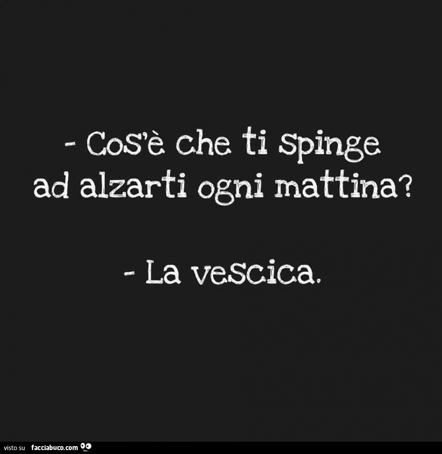 Cos'è che ti spinge ad alzarti ogni mattina? La vescica