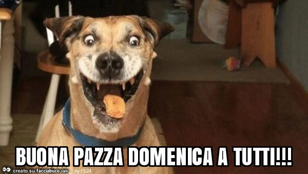 Buona pazza domenica a tutti