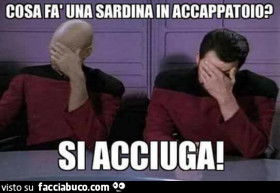 Vaccata