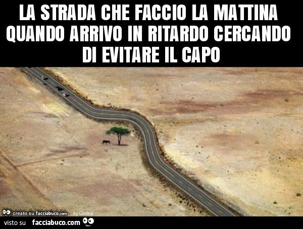 La strada che faccio la mattina quando arrivo in ritardo cercando di evitare il capo