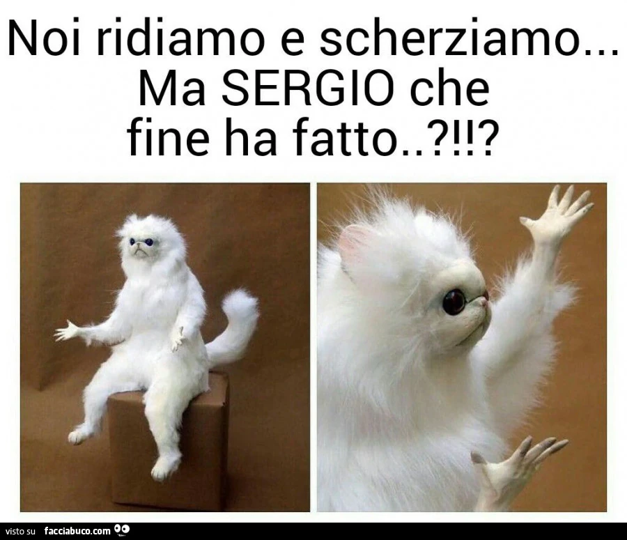 Noi ridiamo e scherziamo, ma Sergio che fine ha fatto?