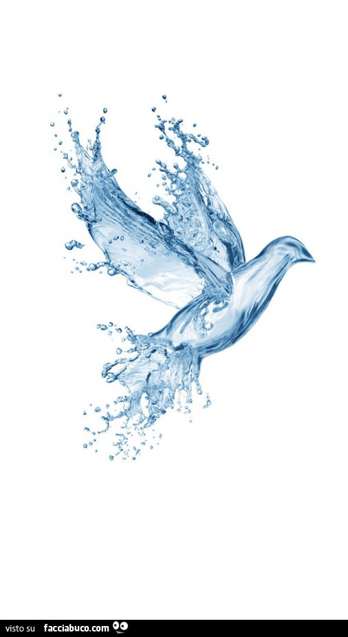 Uccello d'acqua
