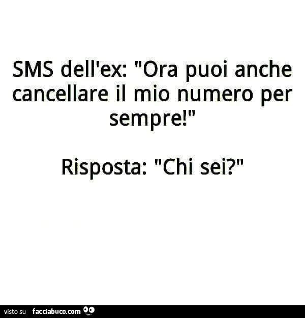 Sms dell'ex: ora puoi anche cancellare il mio numero per sempre! Risposta: chi sei?