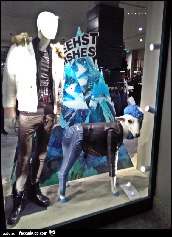 Manichino di pecora vestito in vetrina