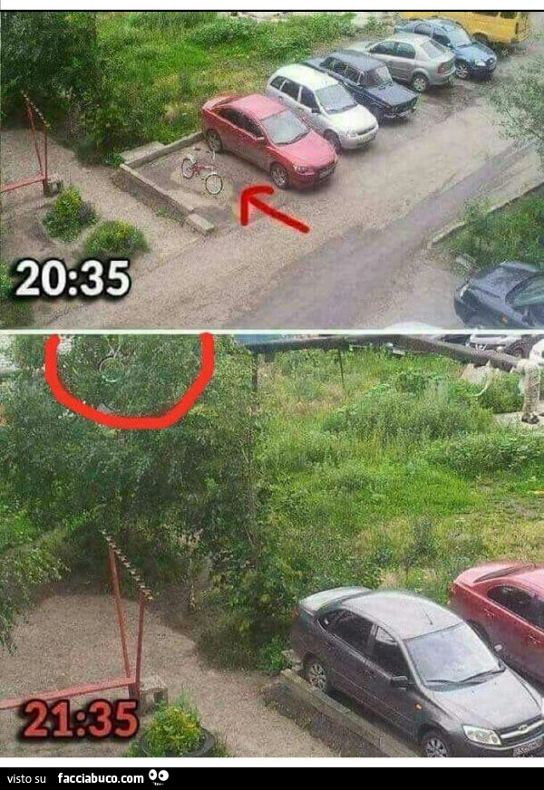 Bici parcheggio, bici su albero
