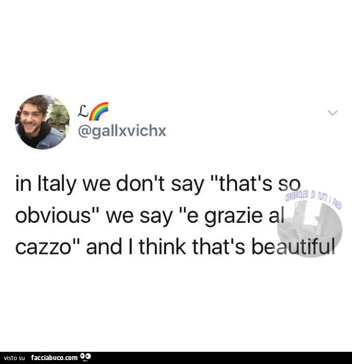 In italy we don't say that's so obvious, we say e grazie al cazzo and I think that's beautiful