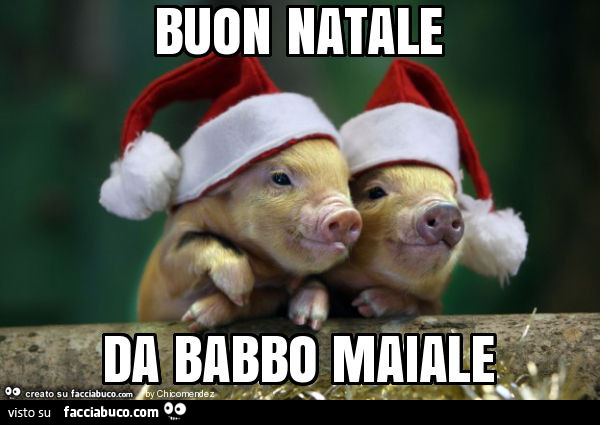 Buon natale da babbo maiale