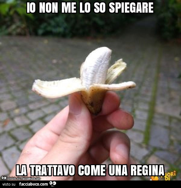 Io non me lo so spiegare, la trattavo come una regina