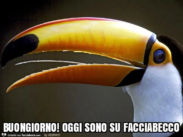 Buongiorno! Oggi sono su facciabecco