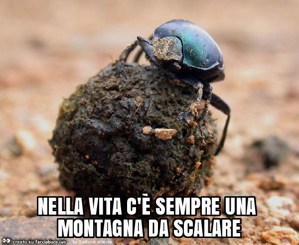Nella vita c'è sempre una montagna da scalare